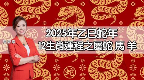 2025什么蛇|【2025什麼蛇】屬蛇人2025命運大揭曉！五行屬性、。